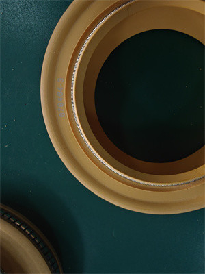 Polyimid Lip Seal PTFE Lip Seal Spring Energized Seal for Rubber Oil Seal of Centrifuge Pump z wysoką wydajnością