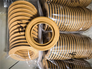 Polyimid Lip Seal PTFE Lip Seal Spring Energized Seal for Rubber Oil Seal of Centrifuge Pump z wysoką wydajnością